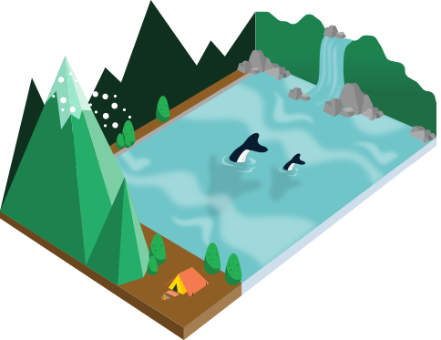 An outdoor scene demonstrating the plentiful natural beauty around Seattle, with camping, hiking, and wildlife
